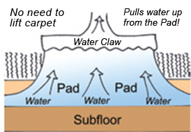 water claw diagram