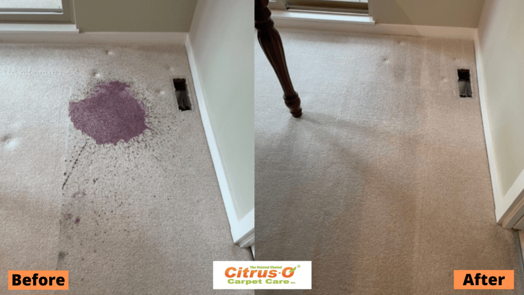 Professional Carpet Cleaning Service Before & After 
