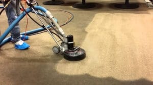 Citrus-O Professional Carpet Cleaning vs. Rug Doctor & Bissell