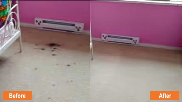 Before and After Expert Stain Removal